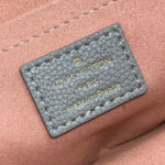 Louis Vuitton Nice Mini M23550 Gray
